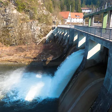 Nr 1c, Hagbuegerl, Bayr Wald