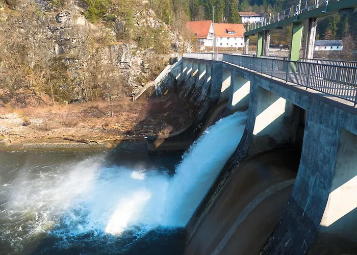 Nr 1c, Hagbuegerl, Bayr Wald