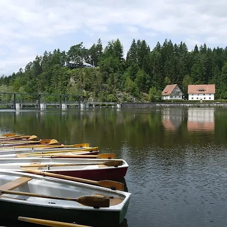 Feriehus Nr 1c, Hagbuegerl, Bayr Wald