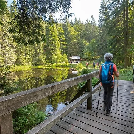 Feriehus Nr 1c, Hagbuegerl, Bayr Wald *