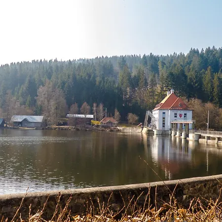 Nr 1c, Hagbuegerl, Bayr Wald * Waldmünchen