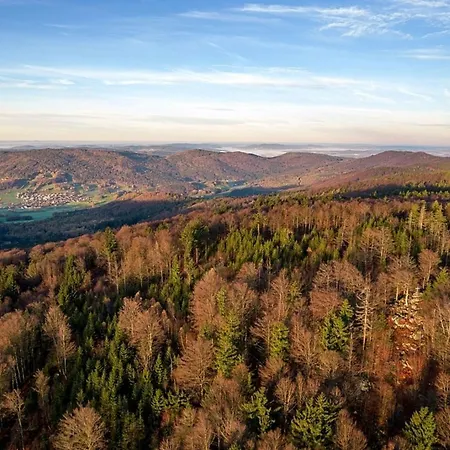 Nr 1c, Hagbuegerl, Bayr Wald